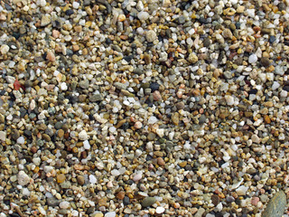 Multicolored sea pebbles