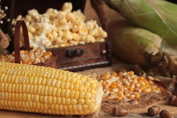 Fototapeta na wymiar Popcorn and yellow dry corn grain with fresh corn.