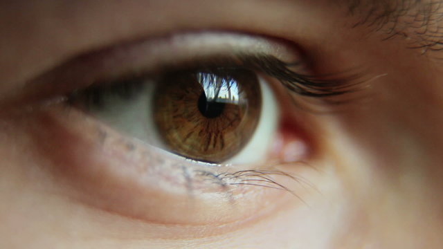 Closeup Shot Of Boy Eye 