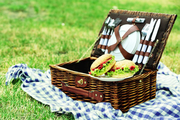 Wicker picnic basket, tasty sandwiches  and plaid on green grass, outdoors