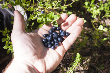 Blueberries handful