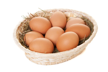Fresh organic eggs