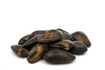 mussels