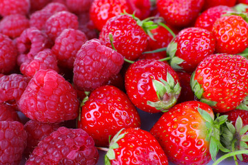 Mix of different berries as background