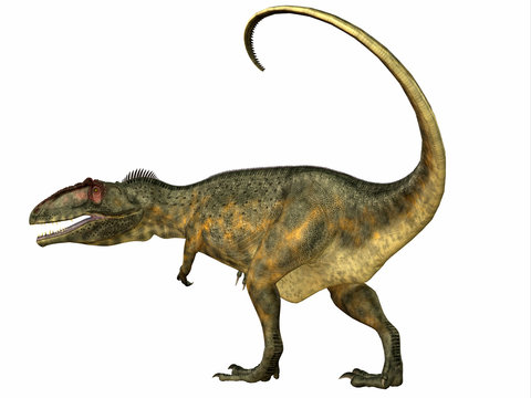 Giganotosaurus Dinosaur Tail - Giganotosaurus was a theropod carnivorous dinosaur that lived in the Cretaceous Period of Argentina.
