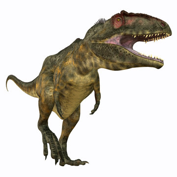 Giganotosaurus Carnivore - Giganotosaurus was a theropod carnivorous dinosaur that lived in the Cretaceous Period of Argentina.