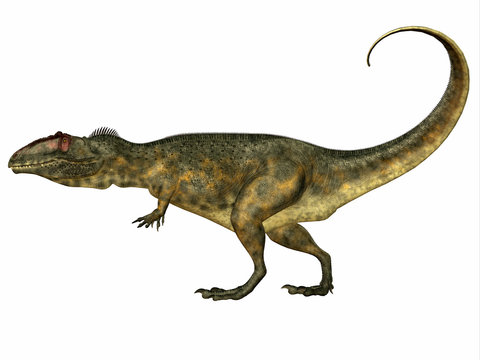 Giganotosaurus Side Profile - Giganotosaurus was a theropod carnivorous dinosaur that lived in the Cretaceous Period of Argentina.