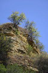 Rocky landscape with Bushes in Provence, south of  France