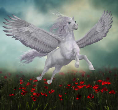 Pegasus and Red Poppies - A beautiful white Pegasus horse flies over a field of red poppies on wide spread wings.