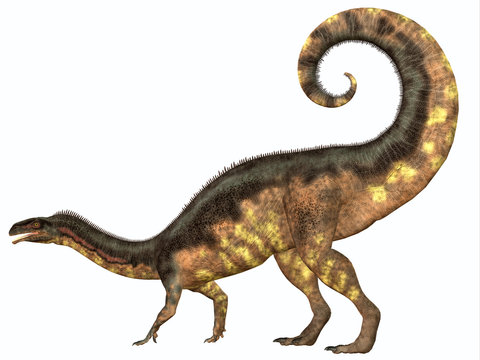 Plateosaurus Dinosaur Tail - Plateosaurus was a prosauropod herbivorous dinosaur that lived in the Triassic Age of Europe.