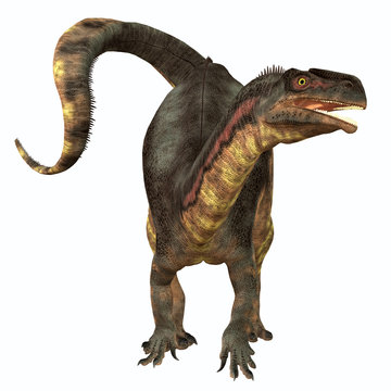 Plateosaurus Herbivore Dinosaur - Plateosaurus was a prosauropod herbivorous dinosaur that lived in the Triassic Age of Europe.