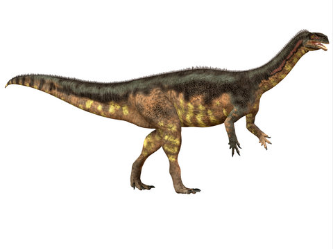 Plateosaurus Side Profile - Plateosaurus was a prosauropod herbivorous dinosaur that lived in the Triassic Age of Europe.