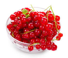 Fresh red currants in glass bowl isolated on white