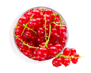 Fresh red currants in bowl isolated on white