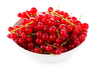Fresh red currants in bowl isolated on white