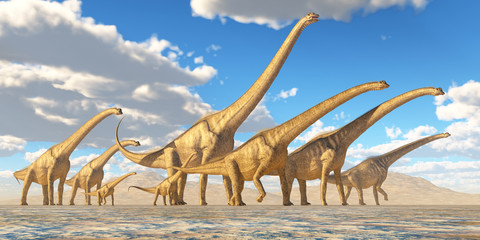 Sauroposeidon Herd Traveling - A herd of Sauroposeidon dinosaurs travel together in search of water and vegetation to eat. © Catmando