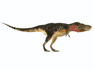 Tarbosaurus Side Profile - Tarbosaurus was a carnivorous theropod dinosaur that lived during the Cretaceous Period of Asia.