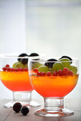 jelly dessert with fruits