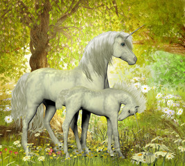Obraz na płótnie Canvas Unicorns and White Daisies - A white unicorn mother brings up her foal in a magical forest full of spring flowers.