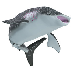 Naklejka premium Whale Shark Body - The Whale shark is a slow-moving filter feeder and is found in tropical ocean waters.