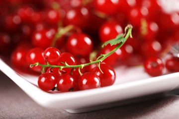 Ripe red currants in plate, closeup
