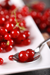 Ripe red currants in plate, closeup