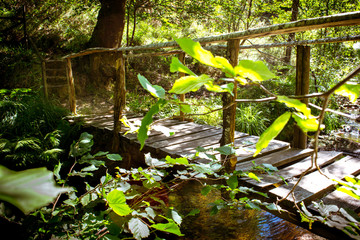 Wooden footbridge over a stream