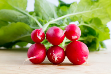 Fresh radishes, Raphanus sativus, on wooden plate