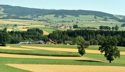 suisse pastorale