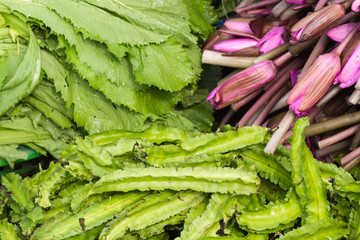 purple lotus flowers and a green salad