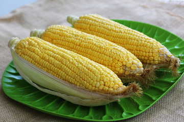 corns on the green dish on the hemp sackcloth