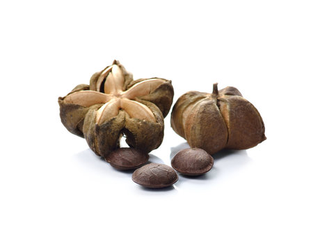 Image of sacha inchi peanut seed on white background