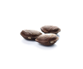 Image of sacha inchi peanut seed on white background