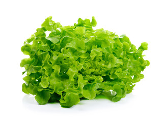 Fresh lettuce isolated on white background