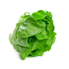 Lettuce Salad Isolated On White