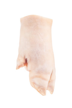 Pig's trotters on a white background,include vector path