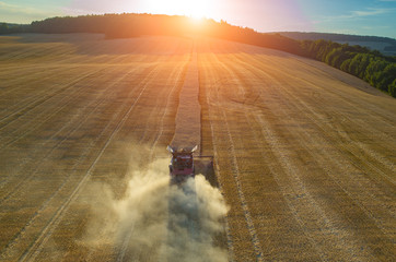 Sunset over the combine working on the field