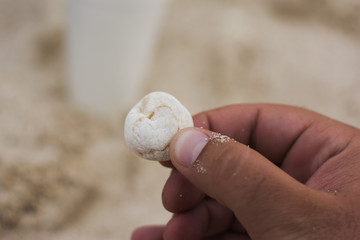 Male hand holding a small rock with heart on it