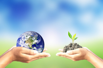 We love the world of ideas,World and tree in human hand on nature background. Elements of this image furnished by NASA.
