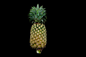 Pineapple Isolated on Black