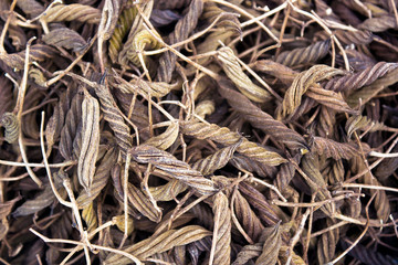 Spices, Pimento, Thailand, South East Asia