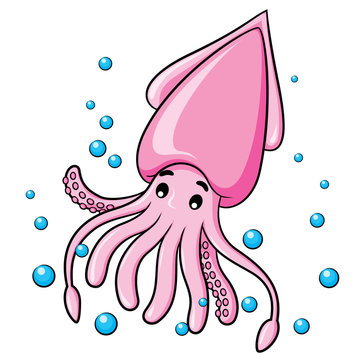 Squid Cartoon
Illustration of cute cartoon squid.