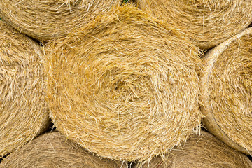 Some bales of straw in bright golden color