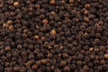 Black pepper zoomed in on