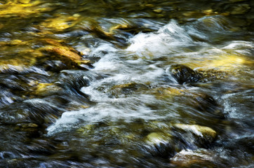 Rapids on mountain river