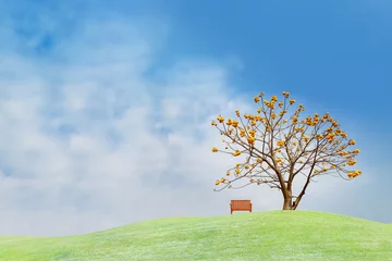 Selbstklebende Fototapete Hügel Gelber Blumenbaum auf grünem Hügel