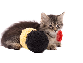 Funny brown kitten and balls of thread