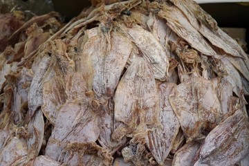 dried squid