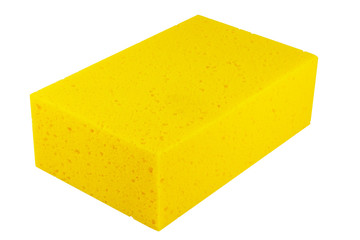 Sponge