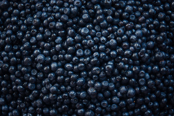Fresh berry of bilberry from top view